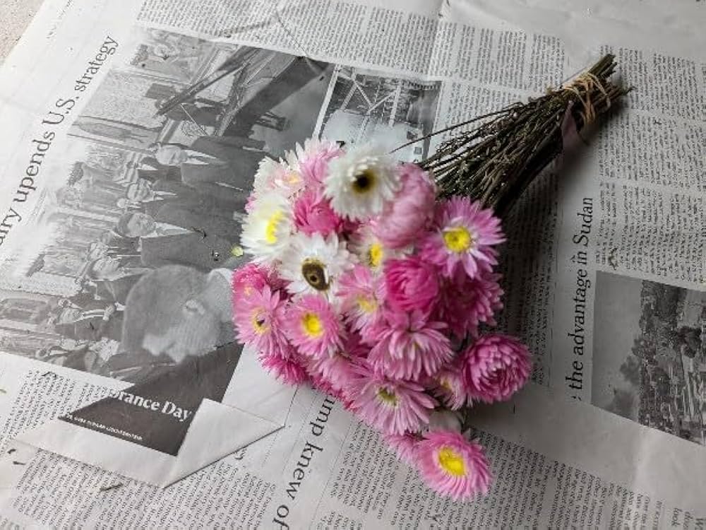 Amazon | a.姫かいざいく 姫貝細工 ドライフラワー 茎長め60本